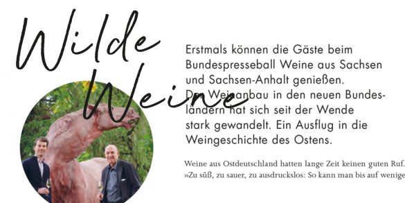 DREI HERREN Bundespresseball 2019