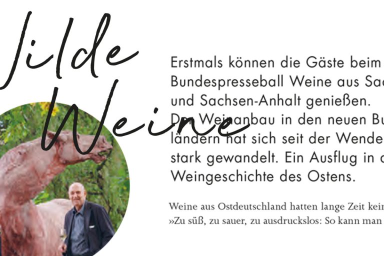 DREI HERREN Bundespresseball 2019