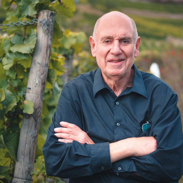 Pr. Dr. Rainer Beck, Unternehmensleitung