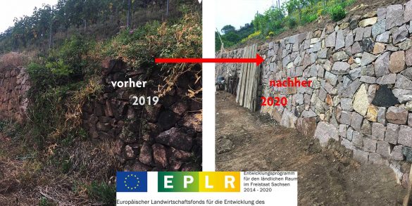 Sanierung unserer Trockenmauern