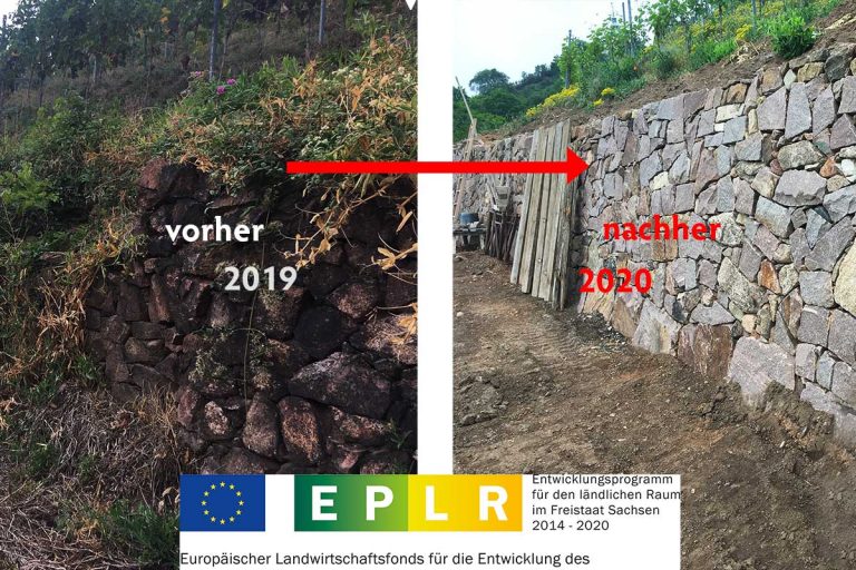 Sanierung unserer Trockenmauern