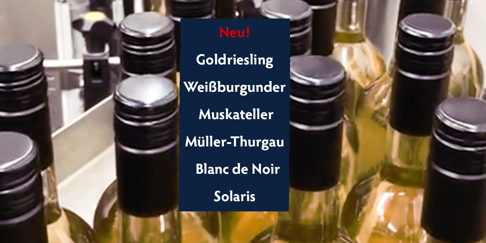 Neue Weine im Februar