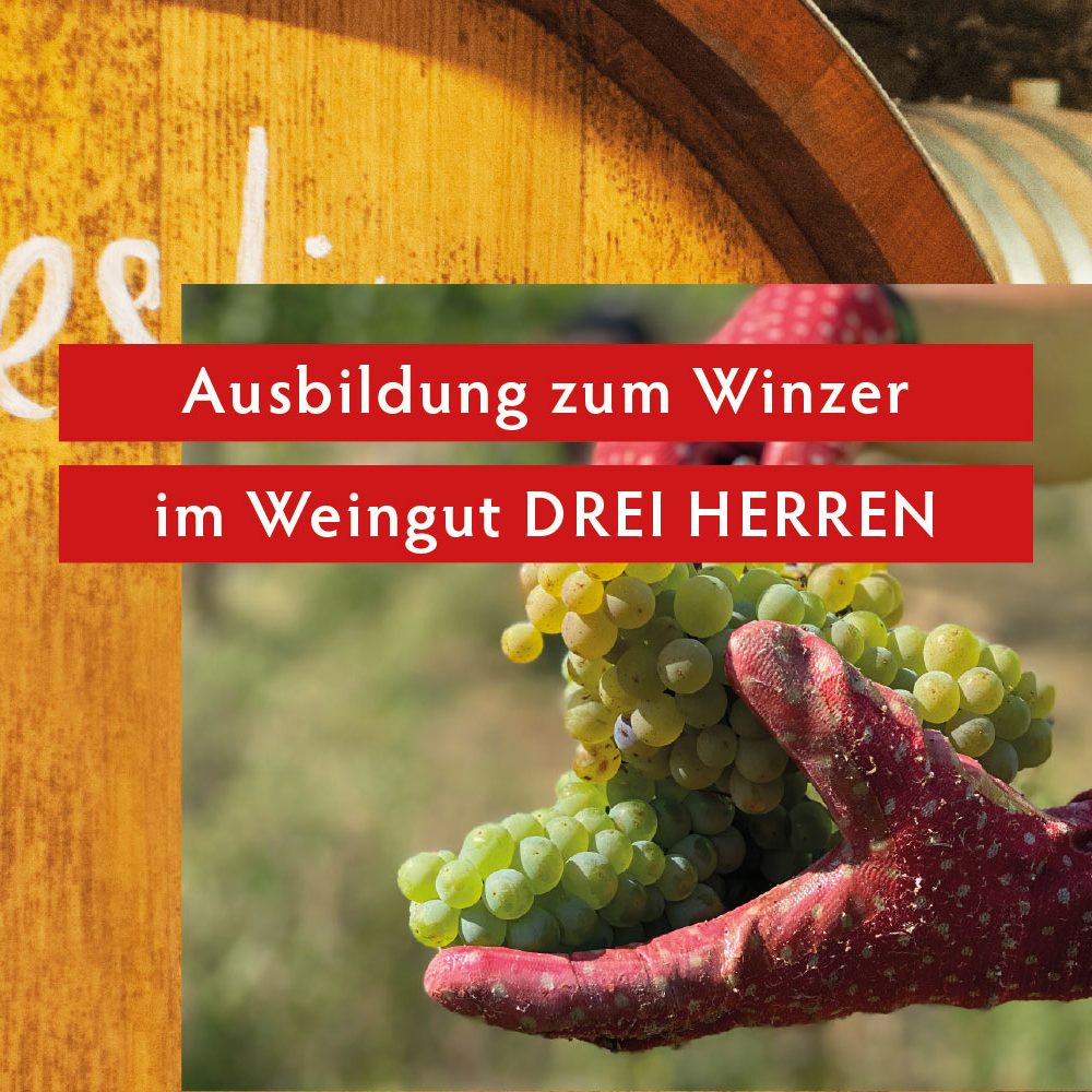 Ausbildung bei DREI HERREN