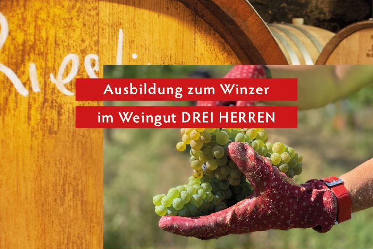 Ausbildung bei DREI HERREN