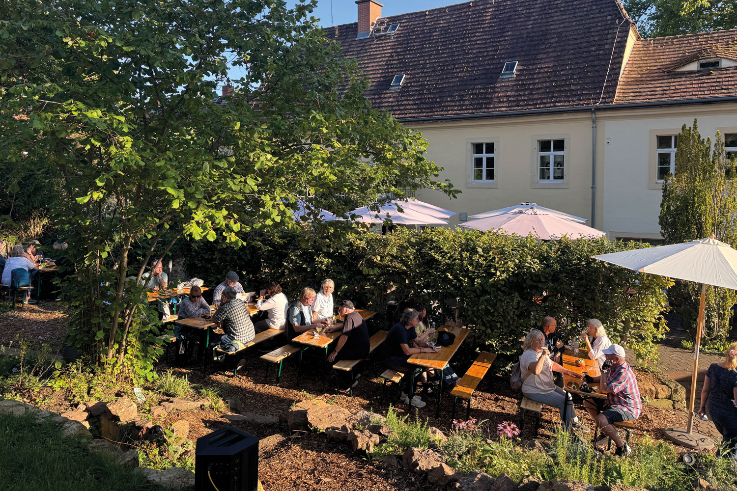 Federweißer im Weinberg DREI HERREN