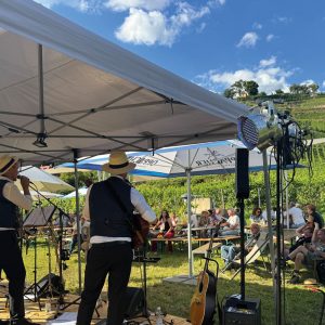 Tage des offenen Weinguts 2026