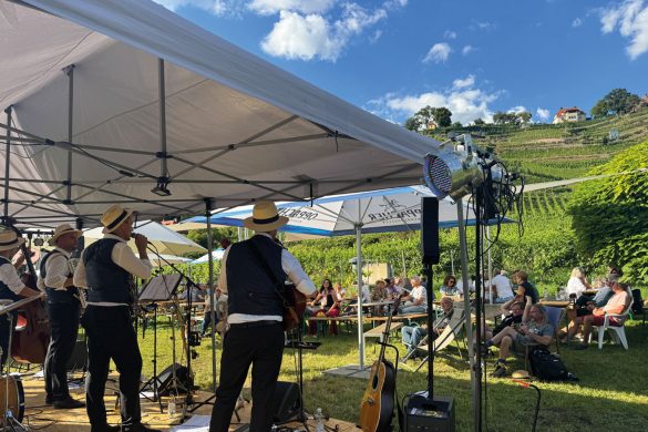 TDOW_2026 Tage des offenen Weinguts 2026