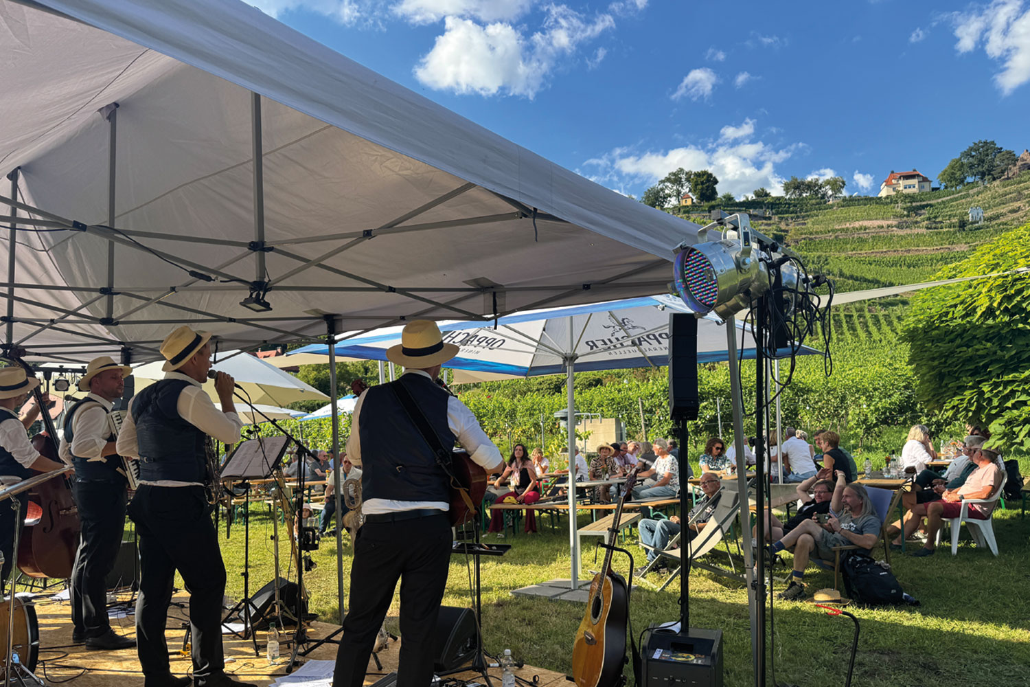 Tage des offenen Weinguts 2026