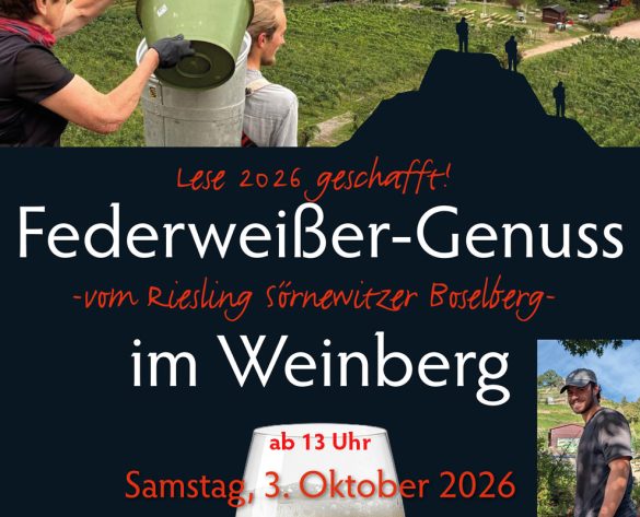 Federweißer-im-Weinberg Federweißer im Weingut ab 13 Uhr am Samstag, den 3. Oktober